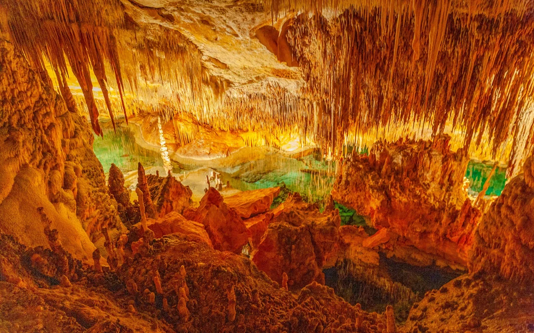 From Palma: Caves of Drach and Hams Entrance and Pearl Factory Visit
 Image 4