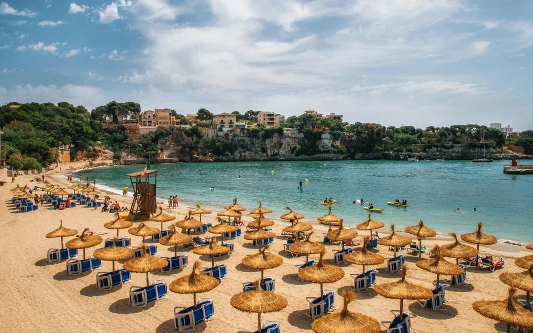 From Palma: Caves of Drach and Porto Cristo Full-Day Trip Image 3