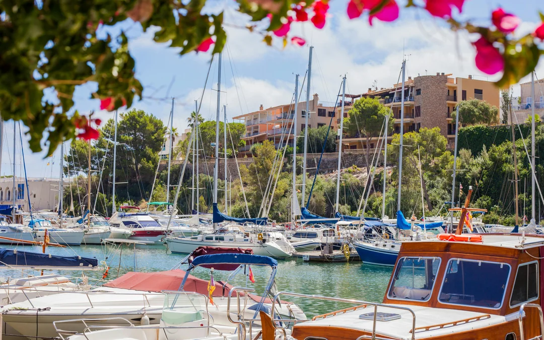 From Palma: Caves of Drach and Porto Cristo Full-Day Trip Image 4