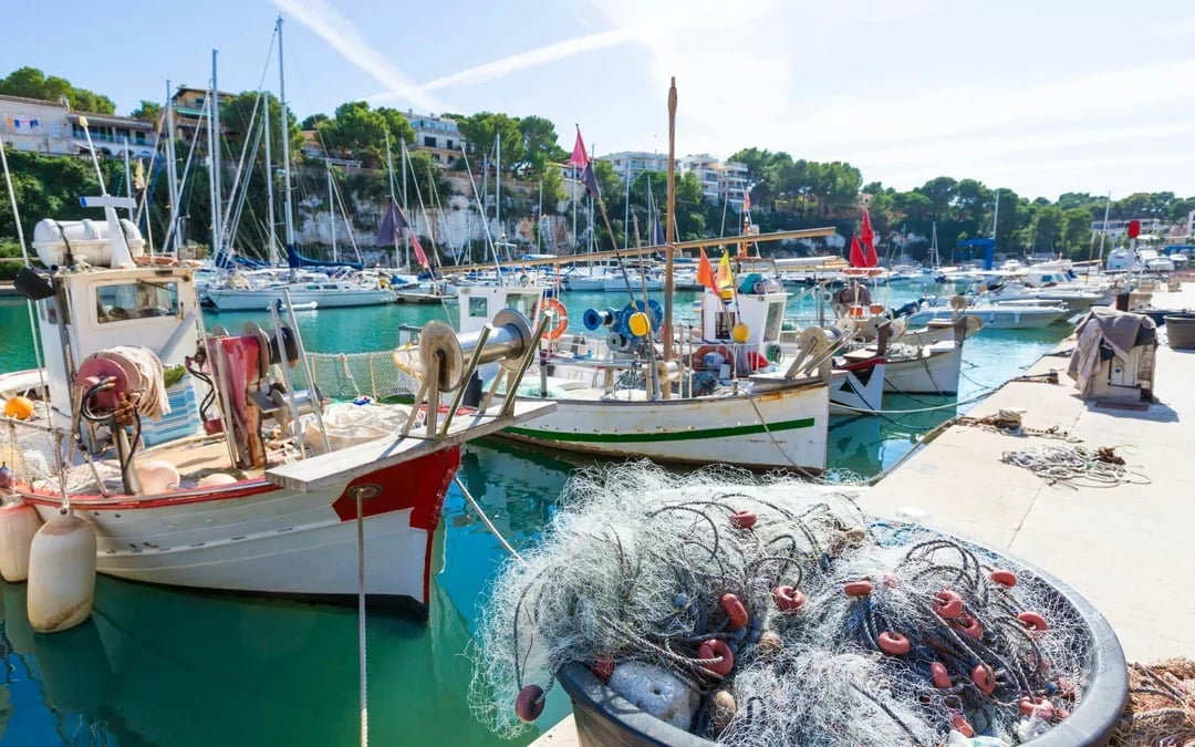 From Palma: Caves of Drach and Porto Cristo Full-Day Trip Image 8