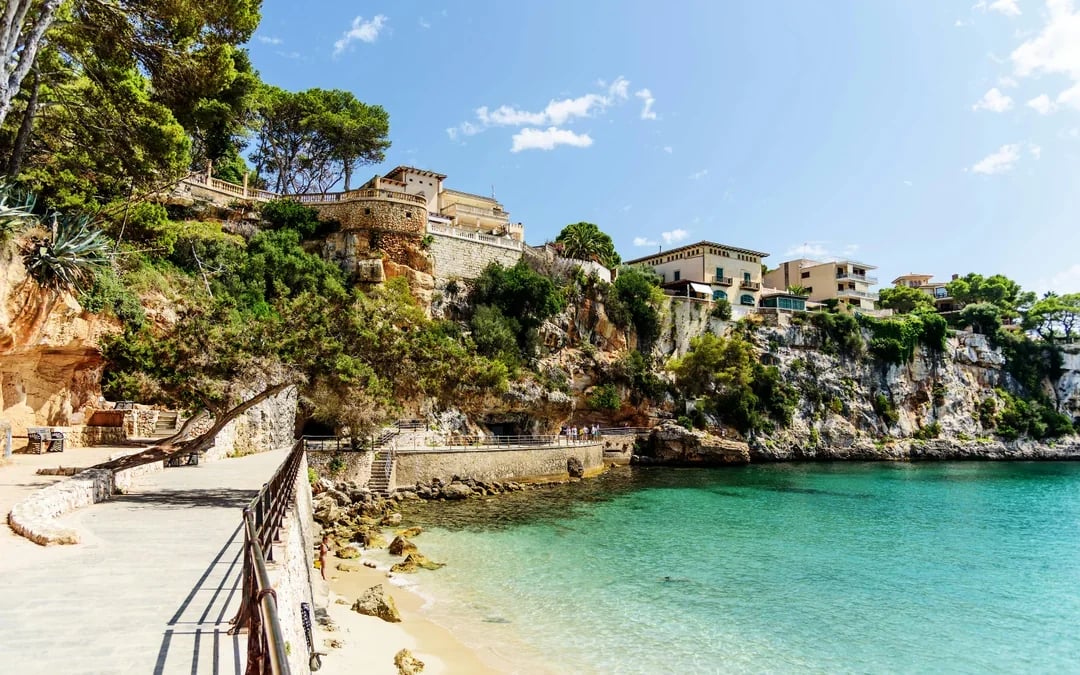 From Palma: Caves of Drach and Porto Cristo Full-Day Trip Image 9