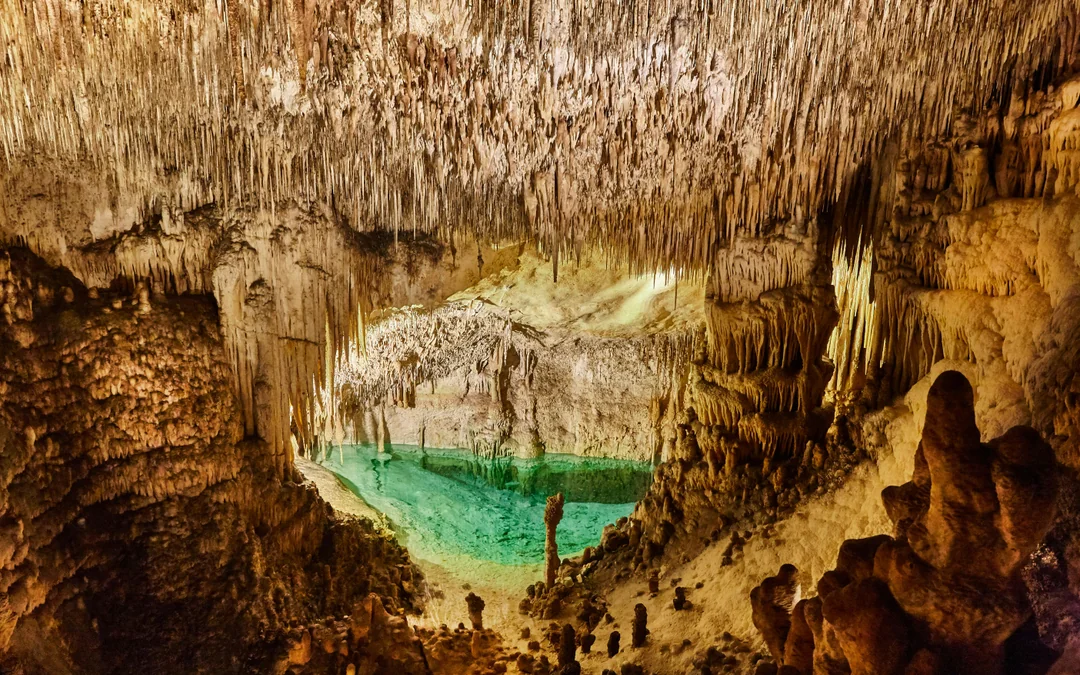 From Palma: Caves of Drach, Lake Martel, & Pearl Factory Day Trip Image 2