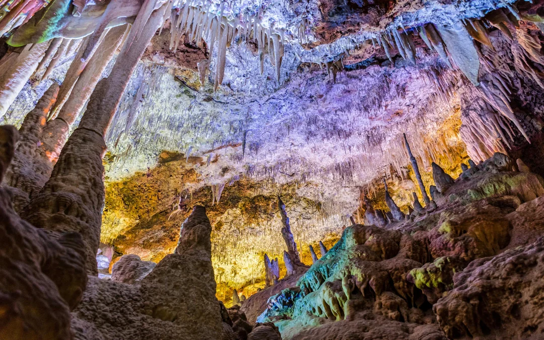 From Palma: Caves of Drach, Lake Martel, & Pearl Factory Day Trip Image 3