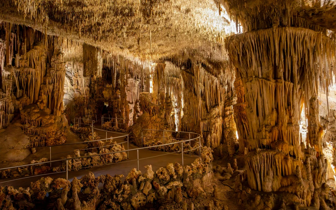 From Palma: Caves of Drach, Lake Martel, & Pearl Factory Day Trip Image 4