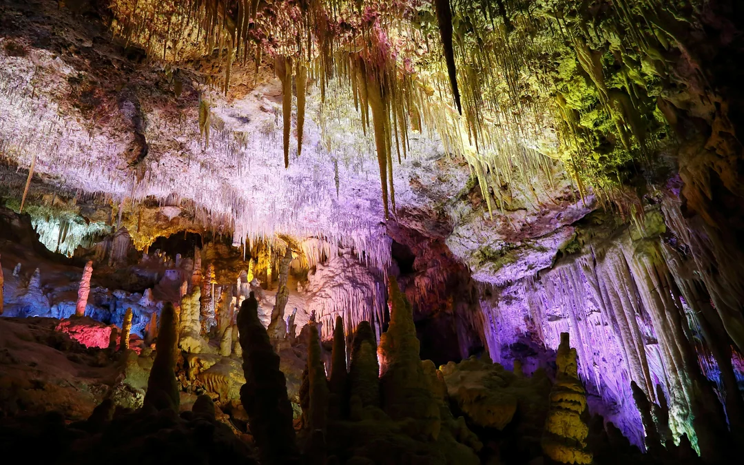 From Palma: Hams' Caves & Porto Cristo Half-Day Trip Image 4