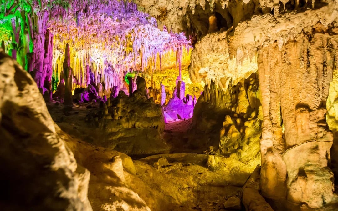 From Palma: Hams' Caves & Porto Cristo Half-Day Trip Image 7