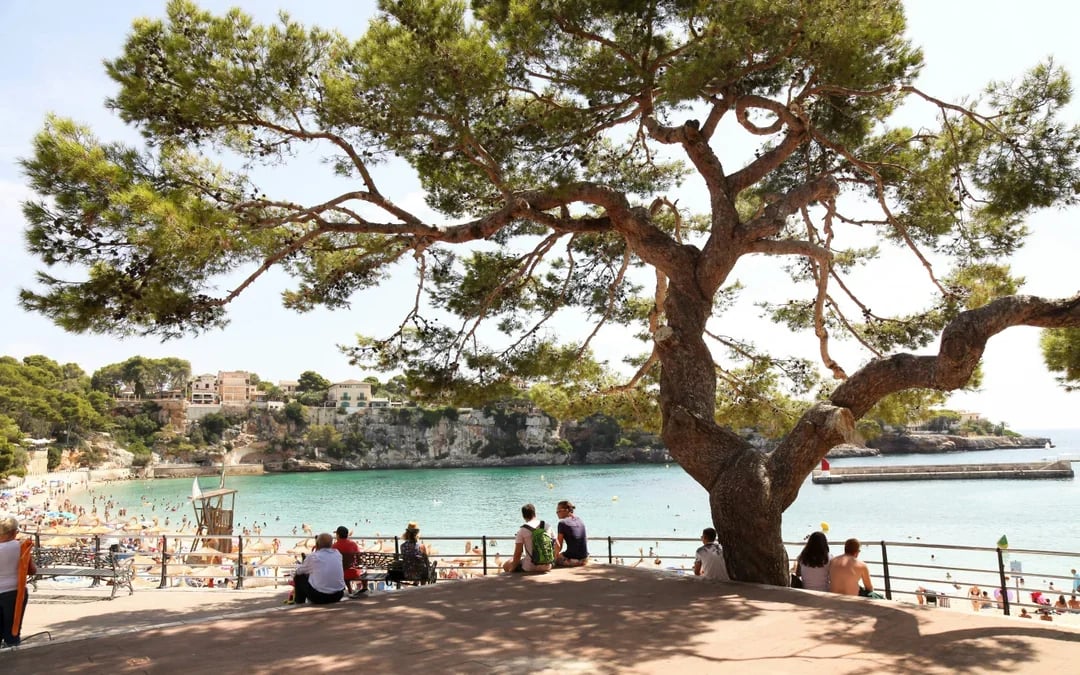 From Palma: Hams' Caves & Porto Cristo Half-Day Trip Image 9