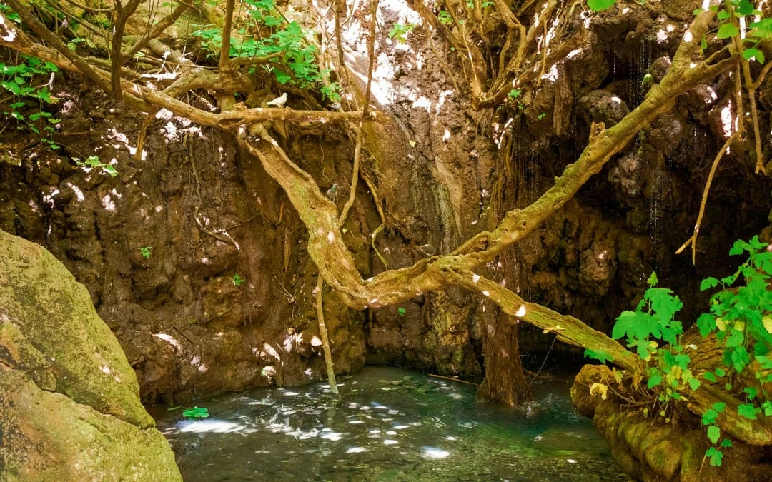From Paphos: Aphrodite’s Akamas Blue Lagoon Bus & Boat Tour with Waterslide Image 2