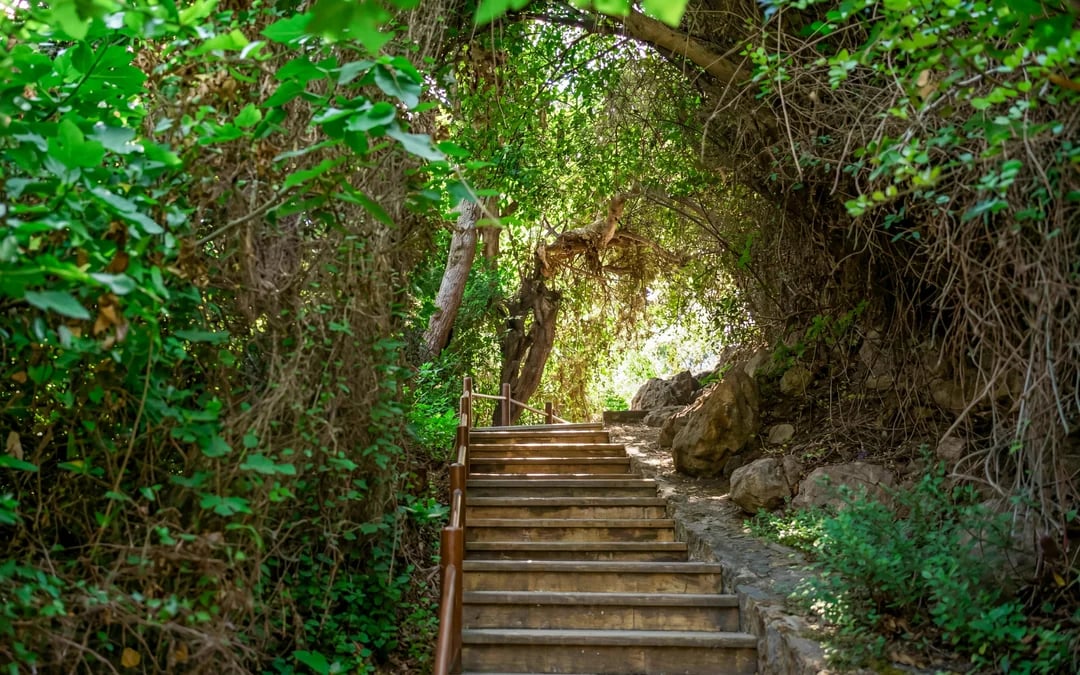 From Paphos: Blue Lagoon, Akamas & Aphrodite's Baths Trip Image 4