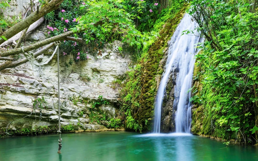 From Paphos: Blue Lagoon, Aphrodite's Baths & Sea Caves Day Trip Image 8