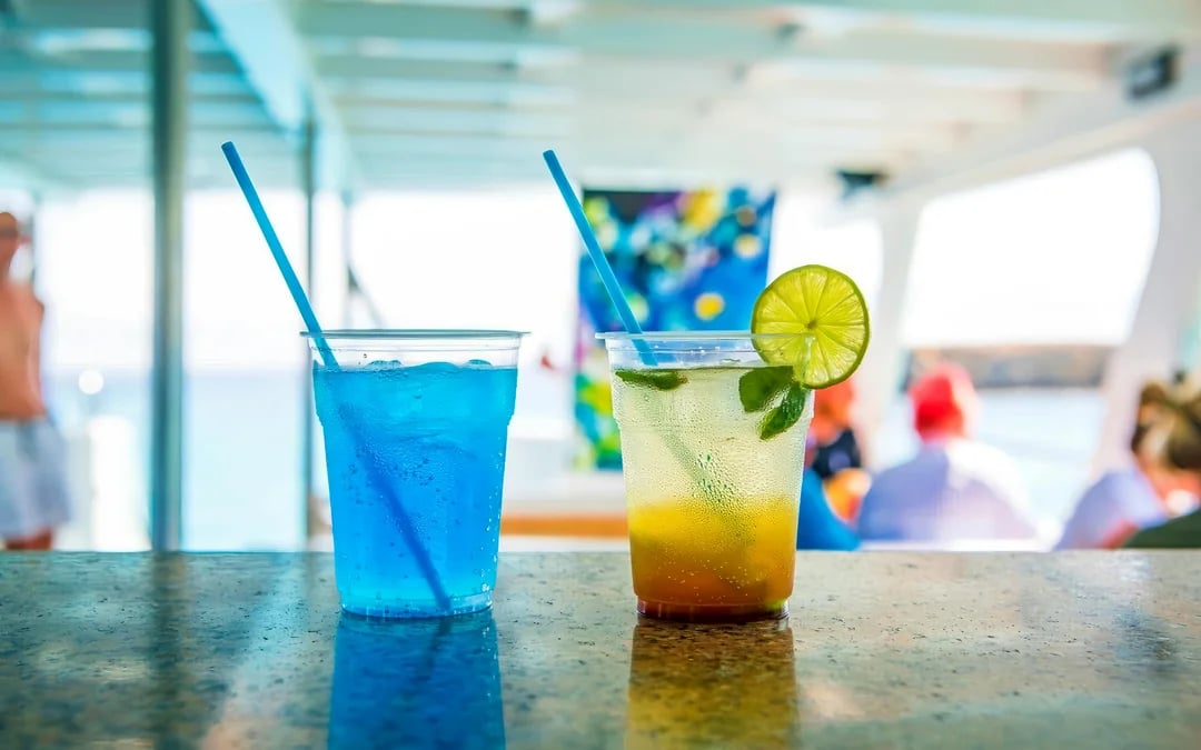 From Paphos: Blue Lagoon Cruise with Bus Transfer Image 7
