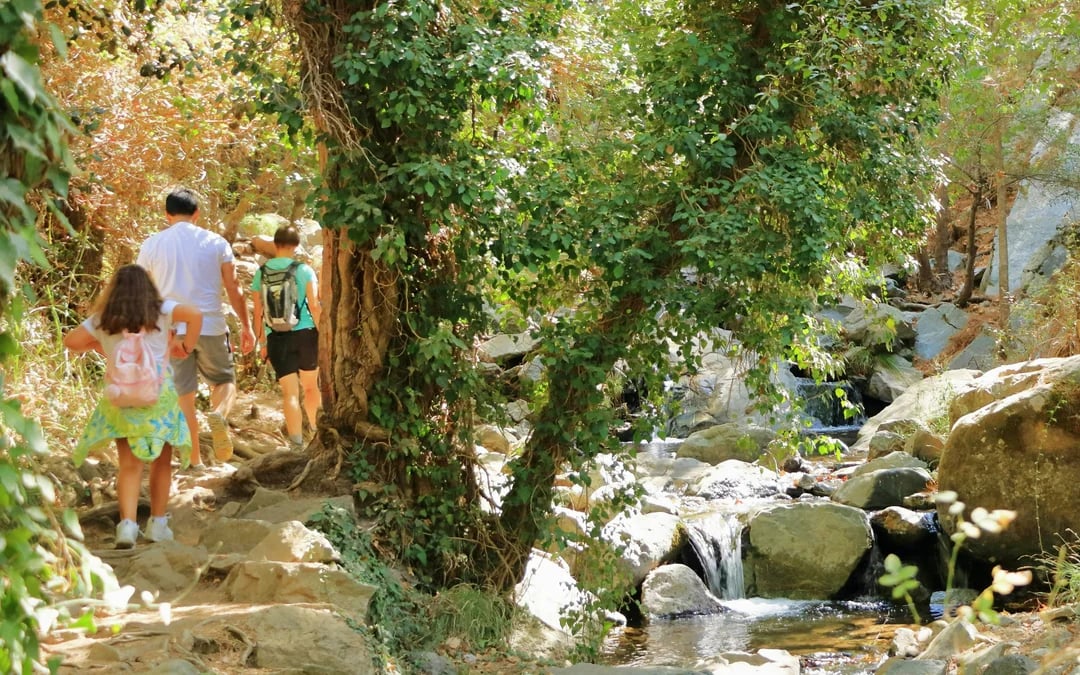 From Paphos: Troodos Jeep Safari to Kykkos Monastery, Waterfall & Venetian Bridge Image 9
