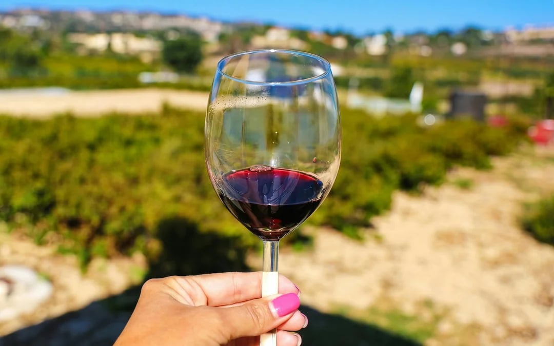 From Paphos: Troodos Mountains Gourmet Tour with Local Flavors & Wine Image 1