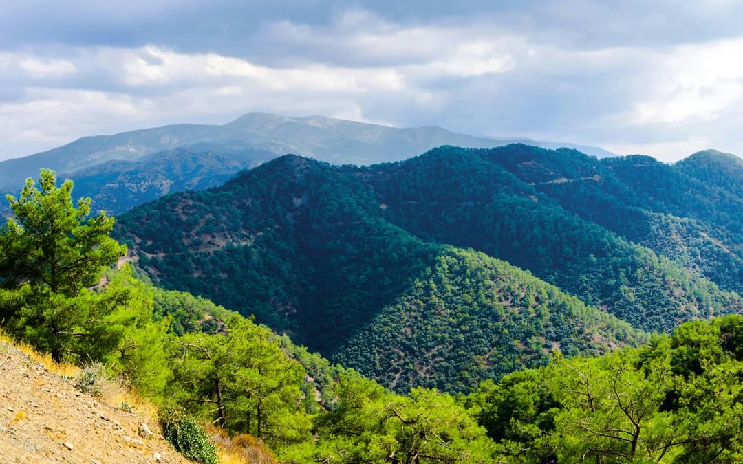 From Paphos: Troodos Viewpoints, Waterfall & Venetian Bridge with Wine Tasting Image 1