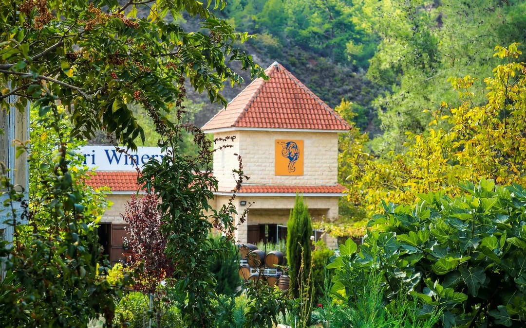 From Paphos: Troodos Viewpoints, Waterfall & Venetian Bridge with Wine Tasting Image 7