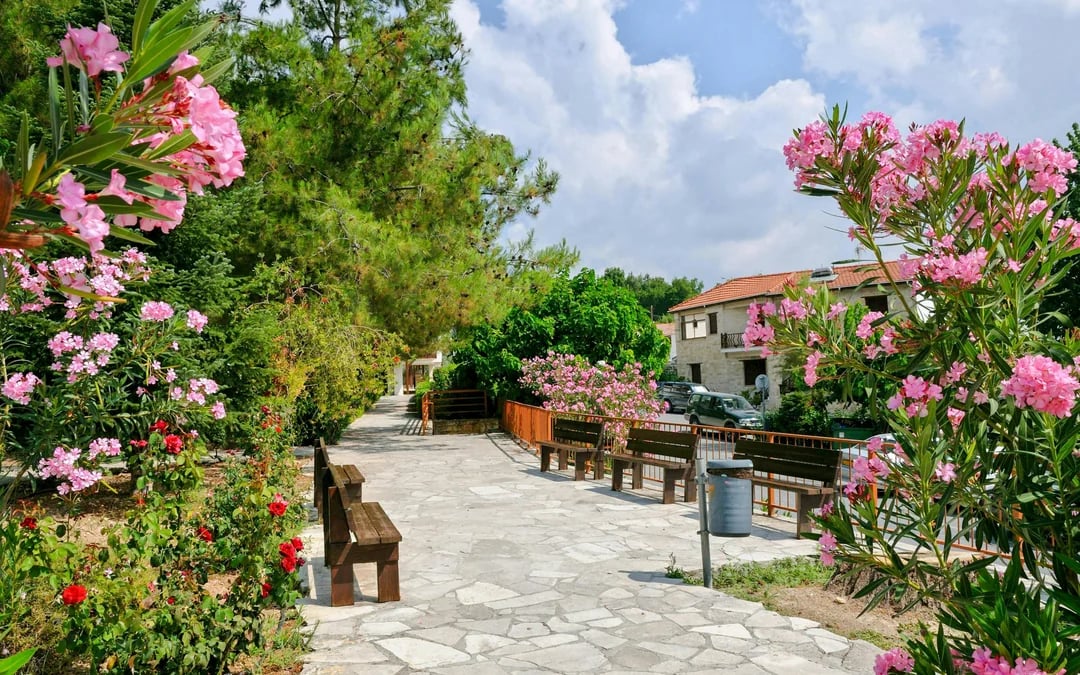 From Paphos: Troodos Viewpoints, Waterfall & Venetian Bridge with Wine Tasting Image 8