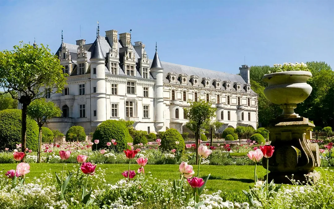 From Paris: All Day Loire Valley Trip with Entry Tickets & Wine Tasting Image 4