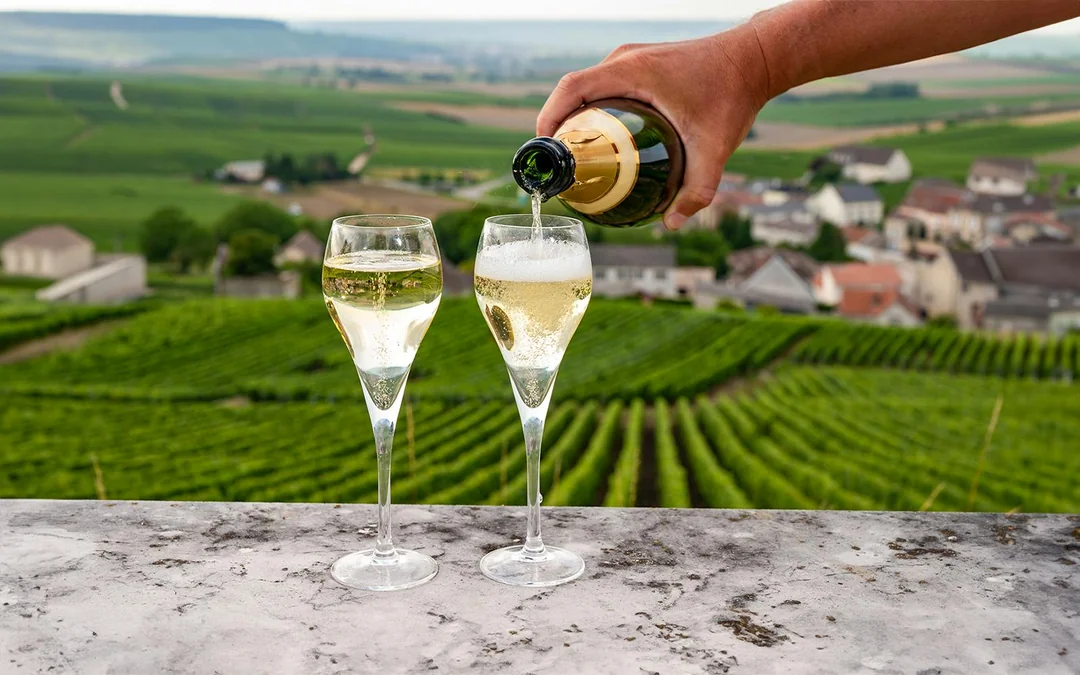 From Paris: All Day Loire Valley Trip with Entry Tickets & Wine Tasting Image 7