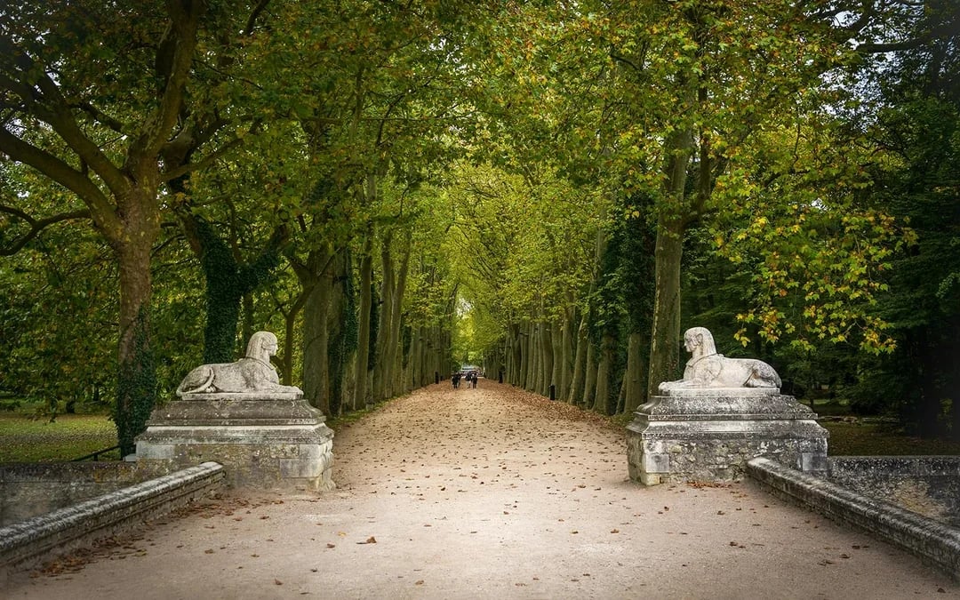 From Paris: All Day Loire Valley Trip with entry tickets Image 11