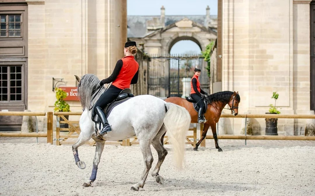 From Paris: Château of Chantilly Skip-the-Line Tickets with Round-Trip Train Transfers Image 6