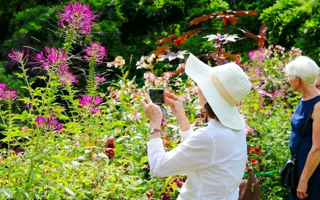 From Paris: Giverny & Versailles Small-Group Guided Day Trip Image 9
