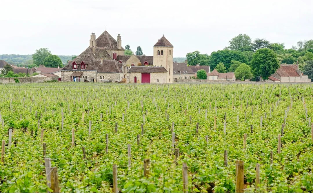 From Paris: Reims and Épernay Private Chauffeur-Driven Day Trip Image 2