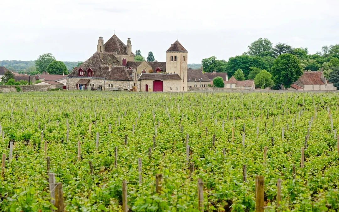 From Paris: Reims and Épernay Private Chauffeur-Driven Day Trip Image 7