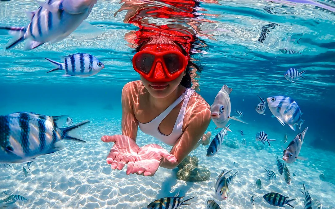From Pattaya: Nemo Island Guided Trip with Lunch & Drone Photos Image 1
