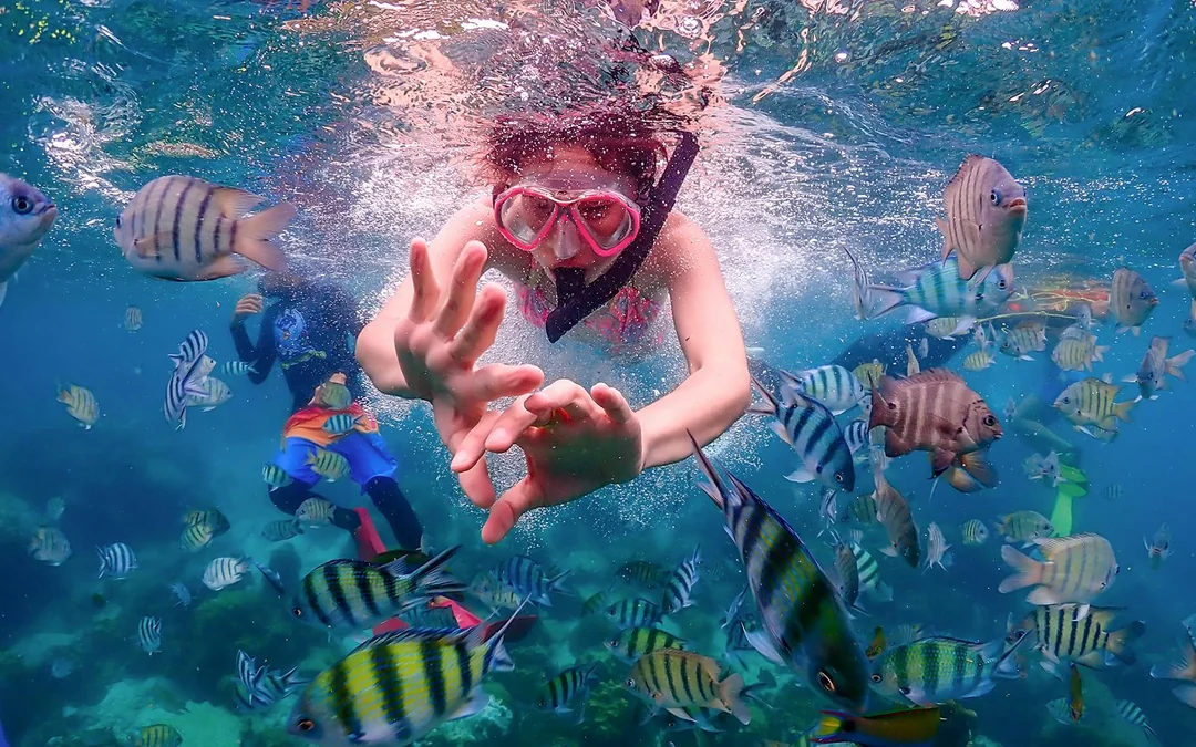 From Pattaya: Nemo Island Guided Trip with Lunch & Drone Photos Image 4