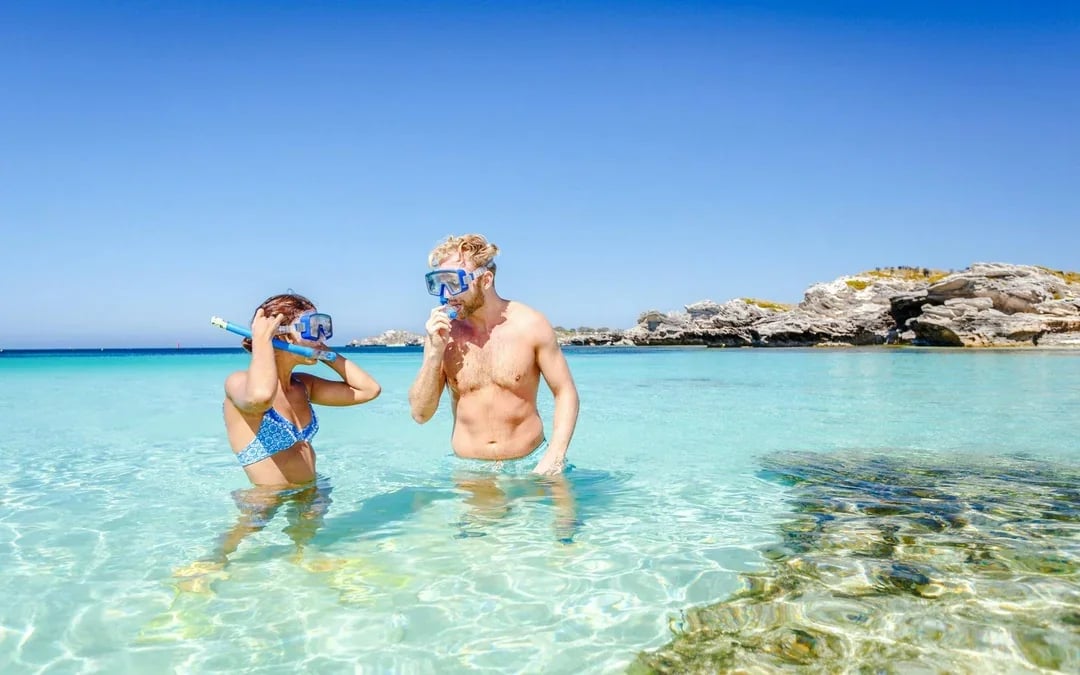 From Perth/ Fremantle: Rottnest Island Snorkel Tour with Return Ferry Image 1