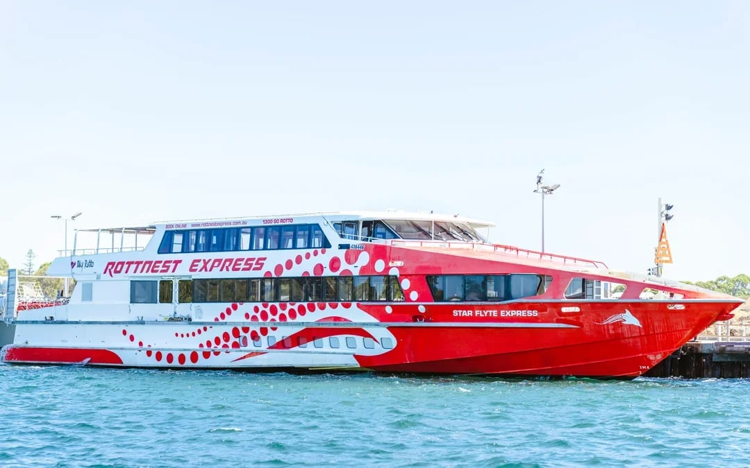 From Perth/ Fremantle: Rottnest Island Snorkel Tour with Return Ferry Image 2