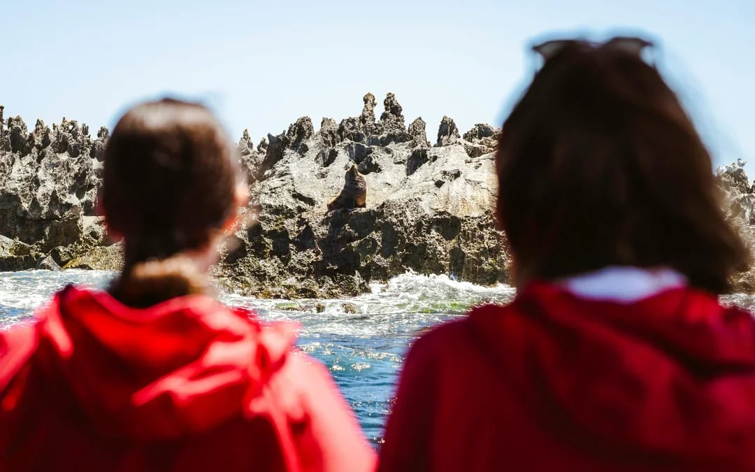 From Perth/ Fremantle: Rottnest Island Snorkel Tour with Return Ferry Image 12