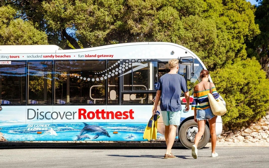 From Perth/ Fremantle: Rottnest Island Snorkel Tour with Return Ferry Image 4