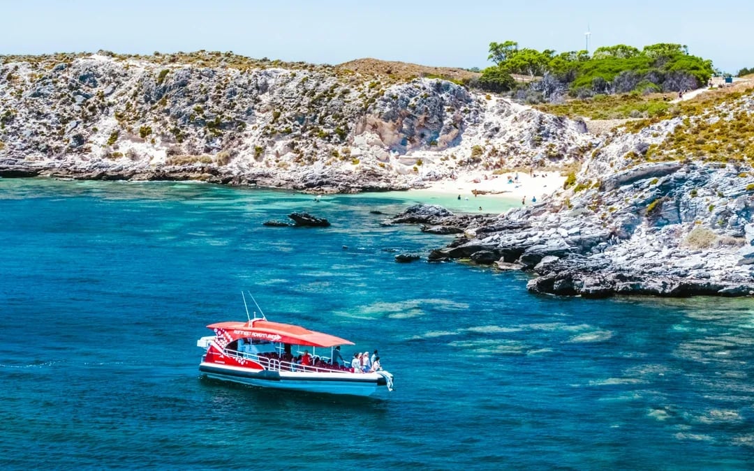 From Perth/ Fremantle: Rottnest Island Snorkel Tour with Return Ferry Image 6