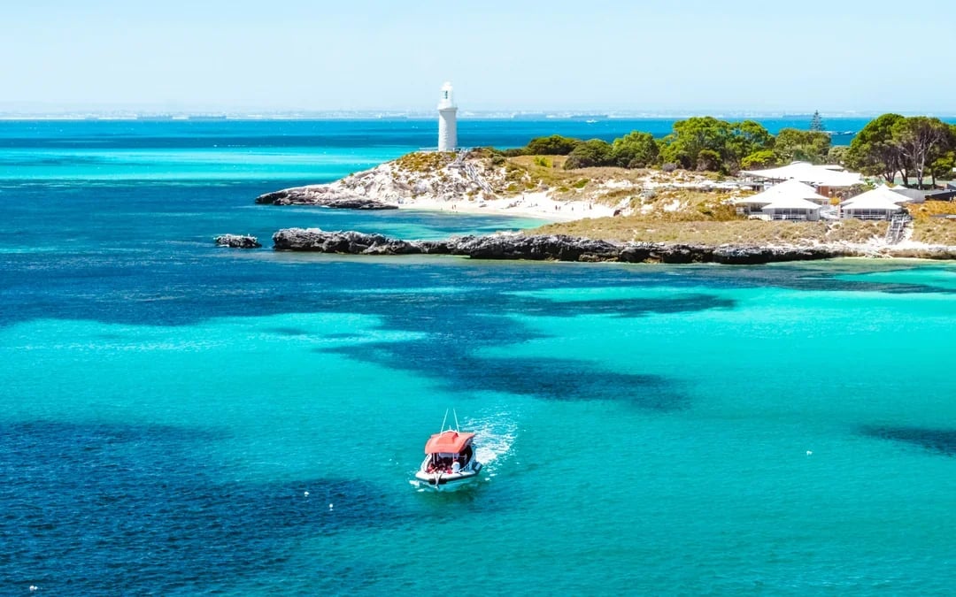 From Perth/ Fremantle: Rottnest Island Snorkel Tour with Return Ferry Image 7