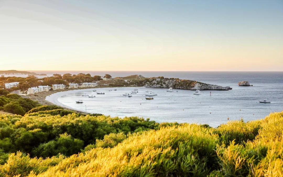 From Perth/ Fremantle: Rottnest Island Snorkel Tour with Return Ferry Image 8