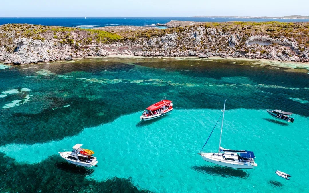From Perth/ Fremantle: Rottnest Island Snorkel Tour with Return Ferry Image 9