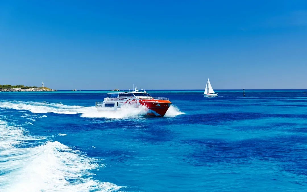 From Perth/ Fremantle: Rottnest Island Snorkel Tour with Return Ferry Image 10