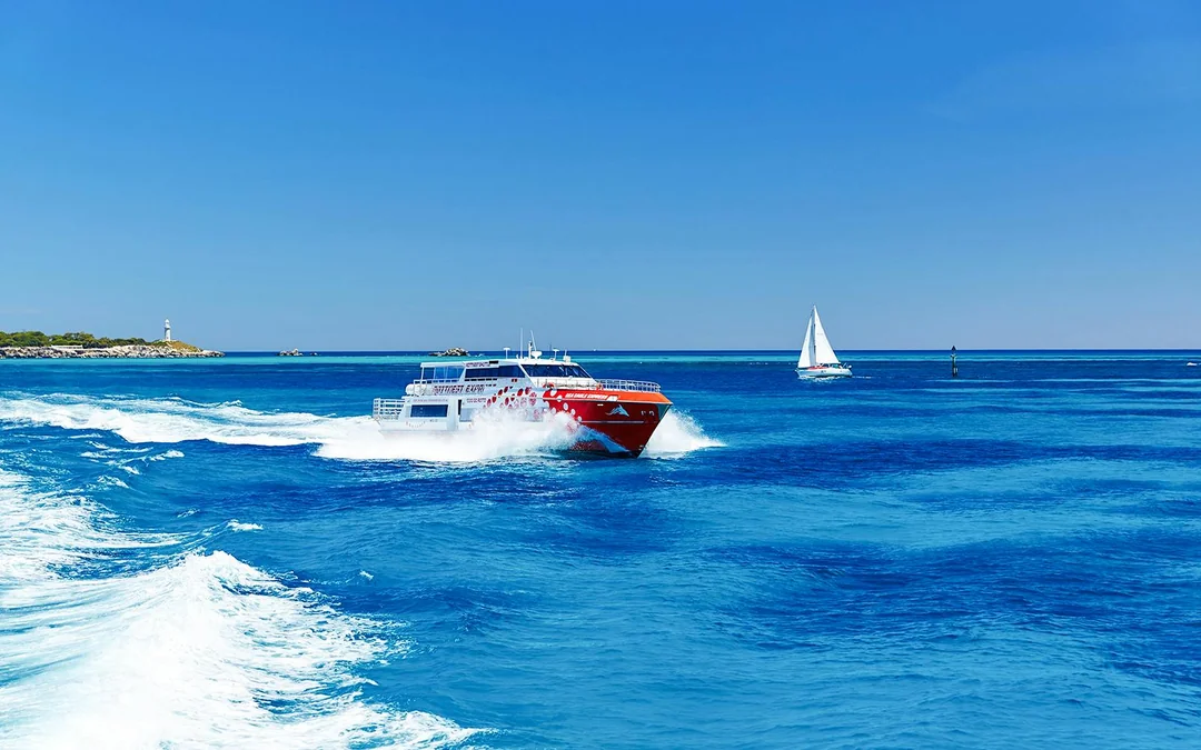 From Perth: Rottnest Island Bike & Guided Return Ferry Tour Image 3