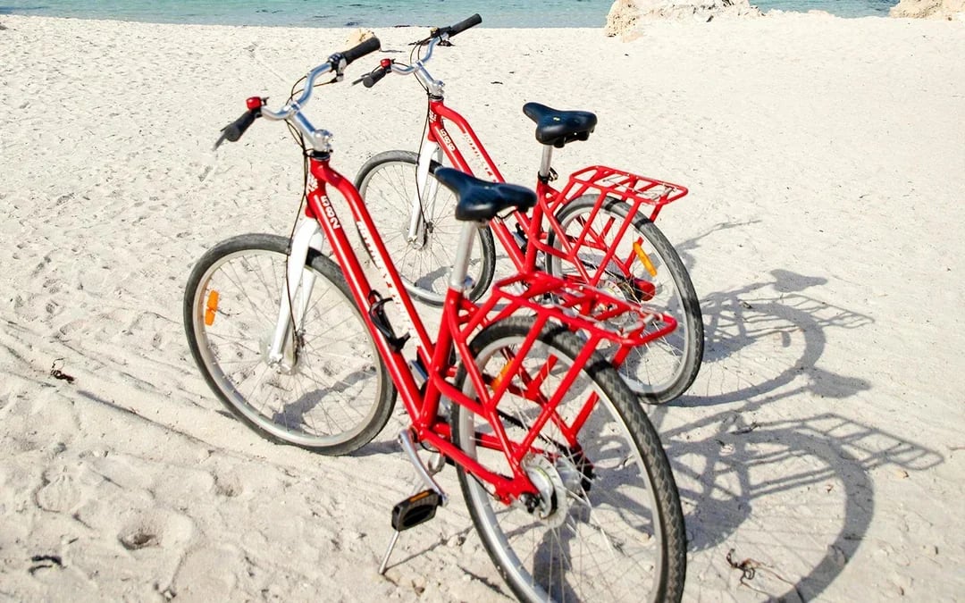 From Perth: Rottnest Island Bike & Guided Return Ferry Tour Image 9