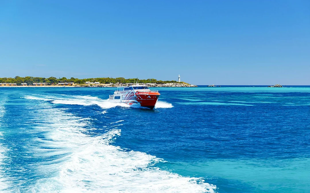 From Perth: Rottnest Island Guided Bus Tour with Return Ferry Image 12