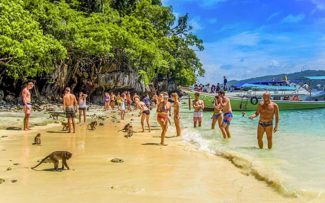 From Phi Phi: Maya Bay Custom Private Longtail Boat Tour with Snorkeling Image 10