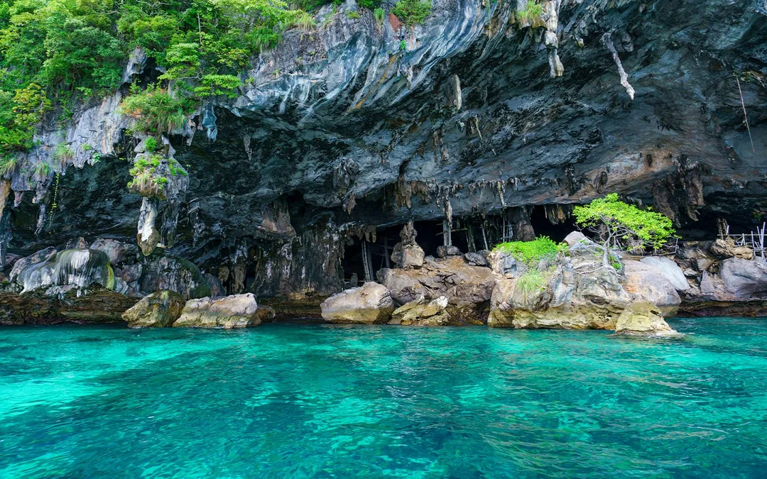 From Phi Phi: Maya Bay Longtail Boat Tour with Snorkeling Image 4