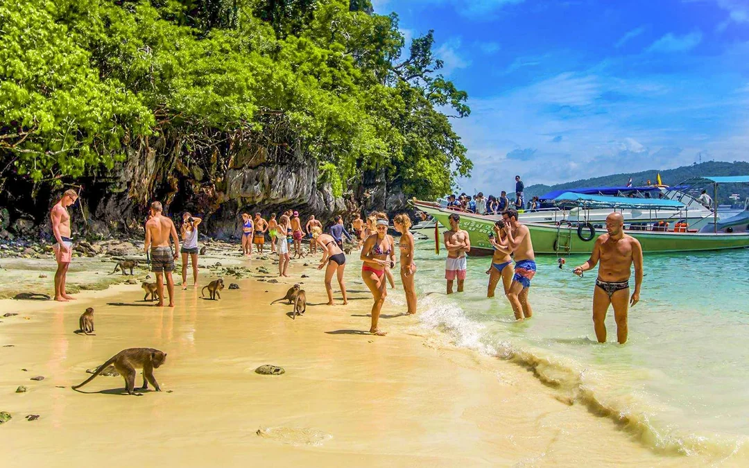 From Phi Phi: Maya Bay Speedboat Tour with Snorkeling Image 4