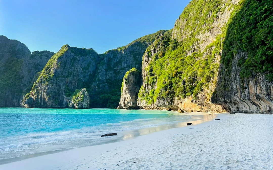 From Phi Phi: Maya Bay Speedboat Tour with Snorkeling Image 10