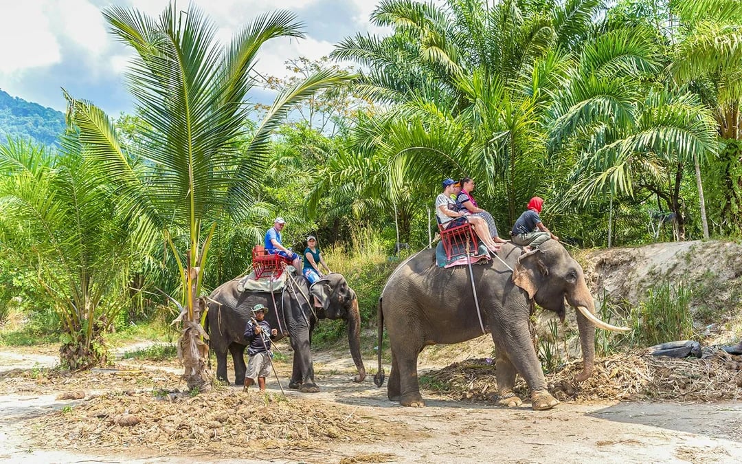 From Phuket: ATV Jungle Adventure with Roundtrip Hotel Transfers Image 7