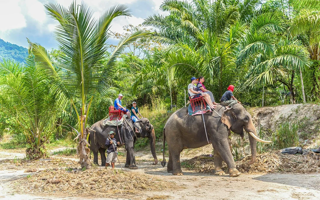From Phuket: Bamboo Rafting, ATV Ride with Elephant Trekking & Bathing Experience Image 4