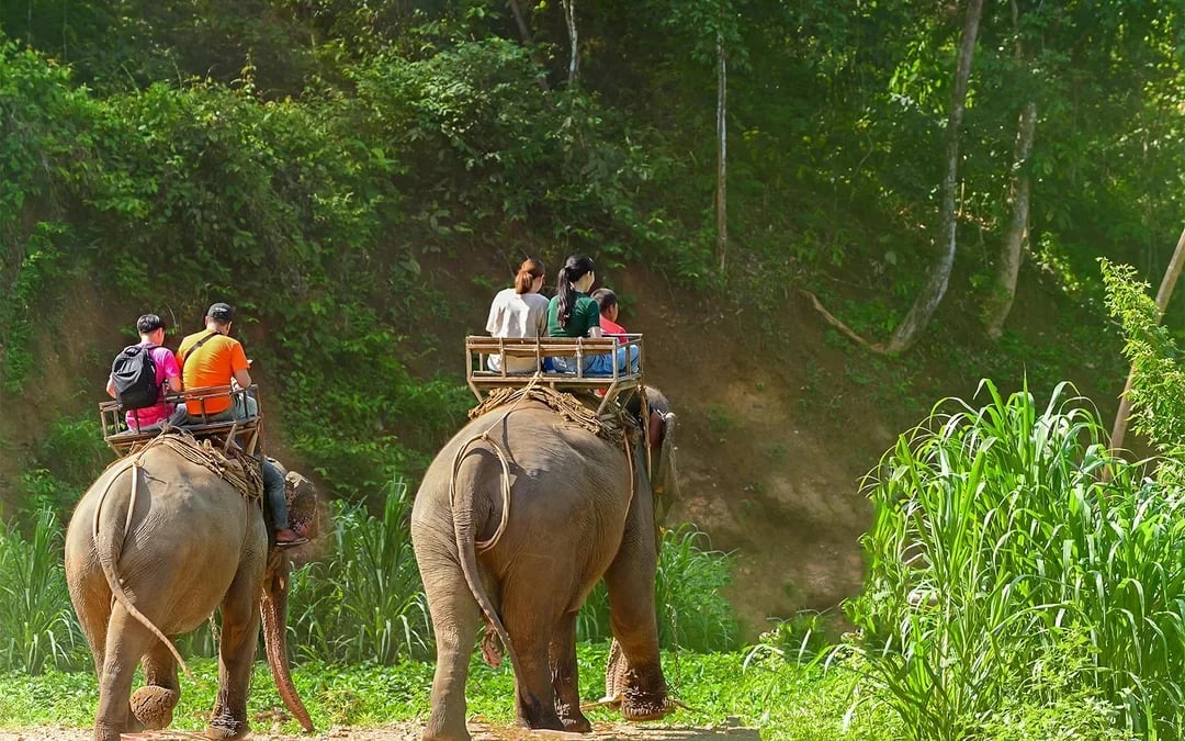 From Phuket: Bamboo Rafting, ATV Ride with Elephant Trekking & Bathing Experience Image 6