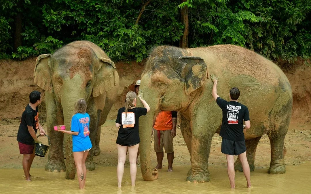 From Phuket: Bamboo Rafting, ATV Ride with Elephant Trekking & Bathing Experience Image 7
