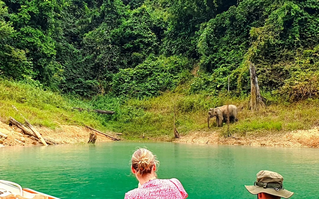 From Phuket: Cheow Lan Lake Day Trip with Long-Tail Boat, Diamond Cave & Kayaking Image 1